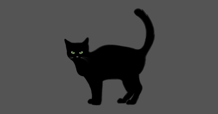 Rüyada Siyah Kedi Görmek Ne Anlama Gelir?