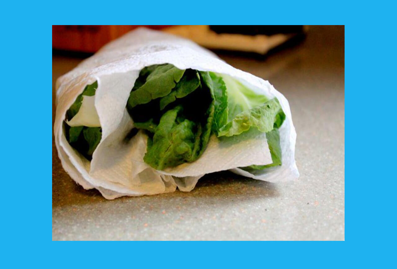 Yiyeceklerin ömrünü uzatmak için marulları kağıt havlu ile sarmak